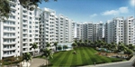 Dream Valley , Siliguri